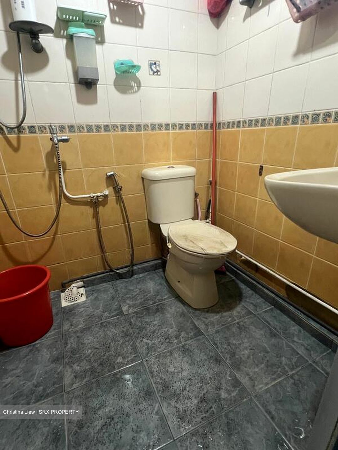 Blk 123 Mcnair Spring (Kallang/Whampoa), HDB 3 Rooms #505023271